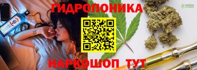 трава Кингисепп