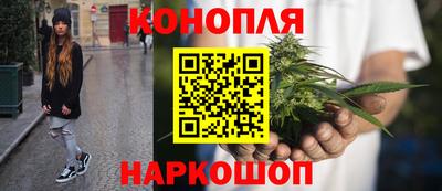 jwh Кинель