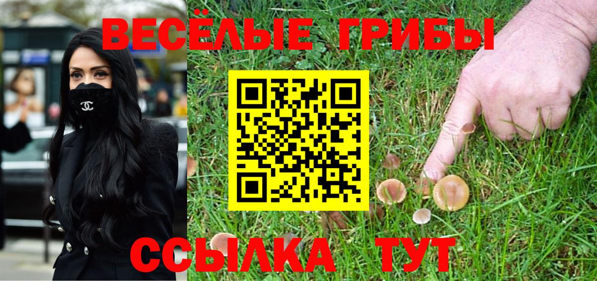 Галлюциногенные грибы Psilocybe  Вход с VPN  Псилоцибиновые грибы Cubensis  Севастополь 
